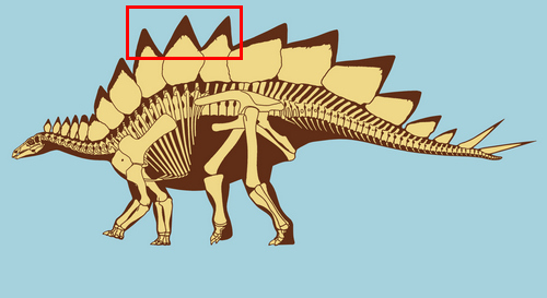 stegosaurus plates.jpg
