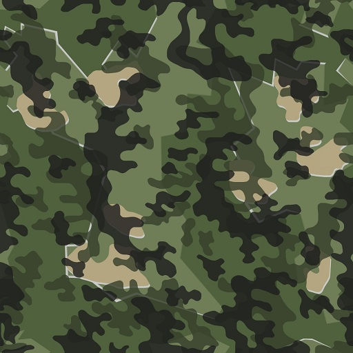 spring camo_land_germany.png